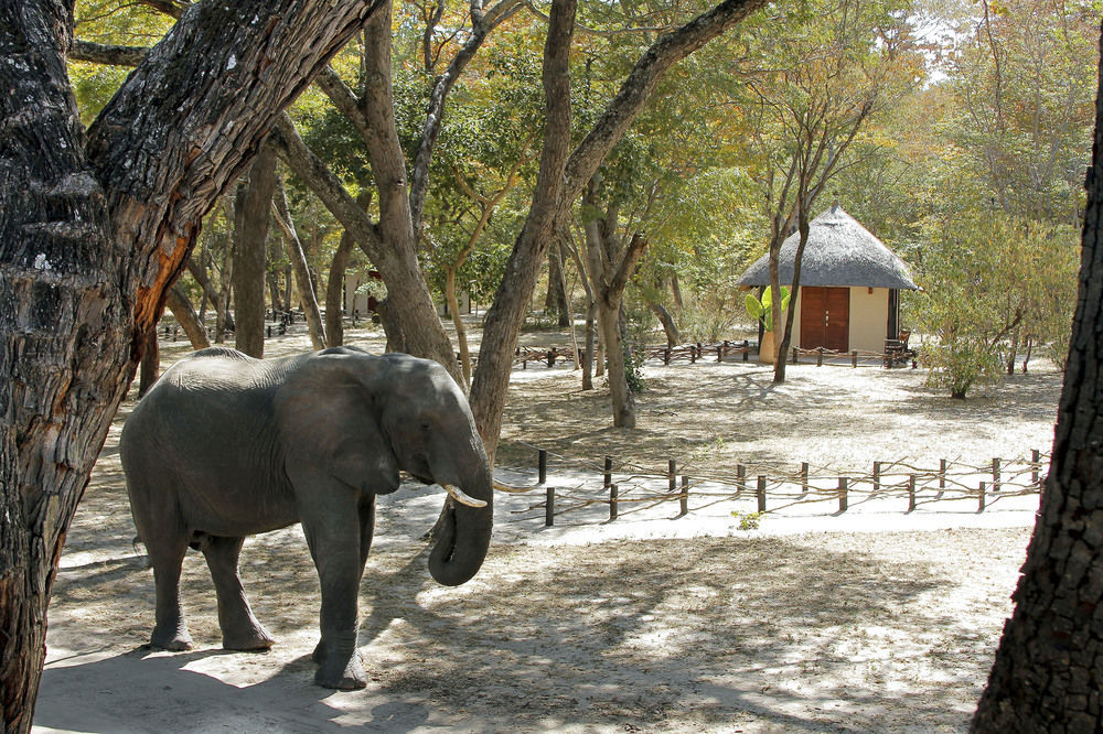 Gwango Heritage Resort Dete Exterior photo